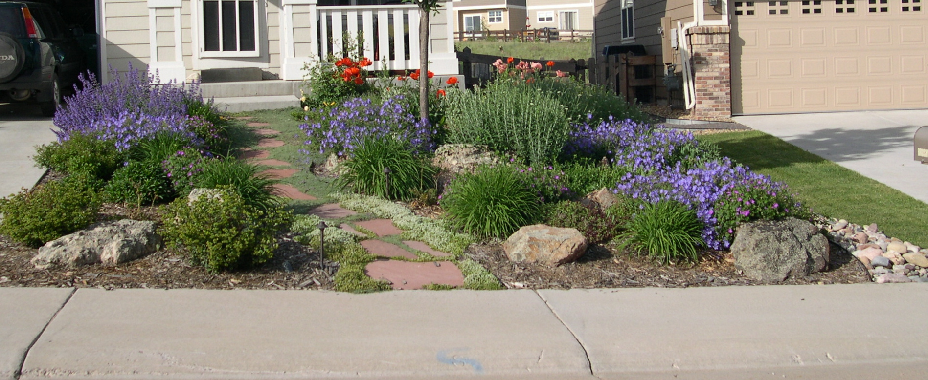 Word of the Day: Xeriscaping! | LU's News &amp; Views